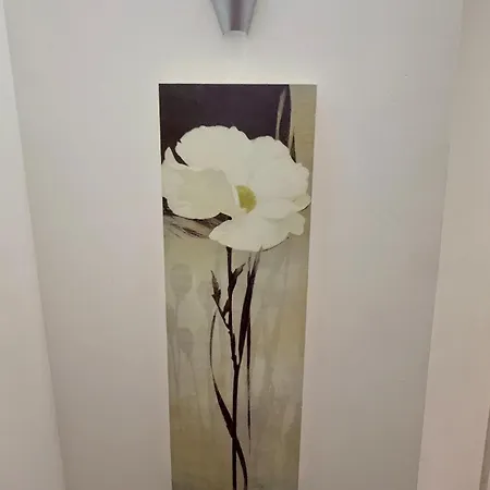 2 Spacious Double Bedroom - Μπράντφορντ